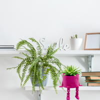 Happy Legs Planter - Unicorn Fart Productions