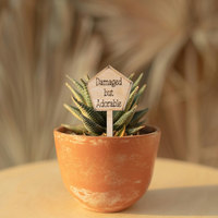 Damaged but Adorable - Unicorn Fart Productions