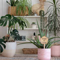 Damaged but Adorable - Unicorn Fart Productions