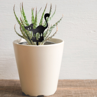 Meowly Cyrus - Unicorn Fart Productions