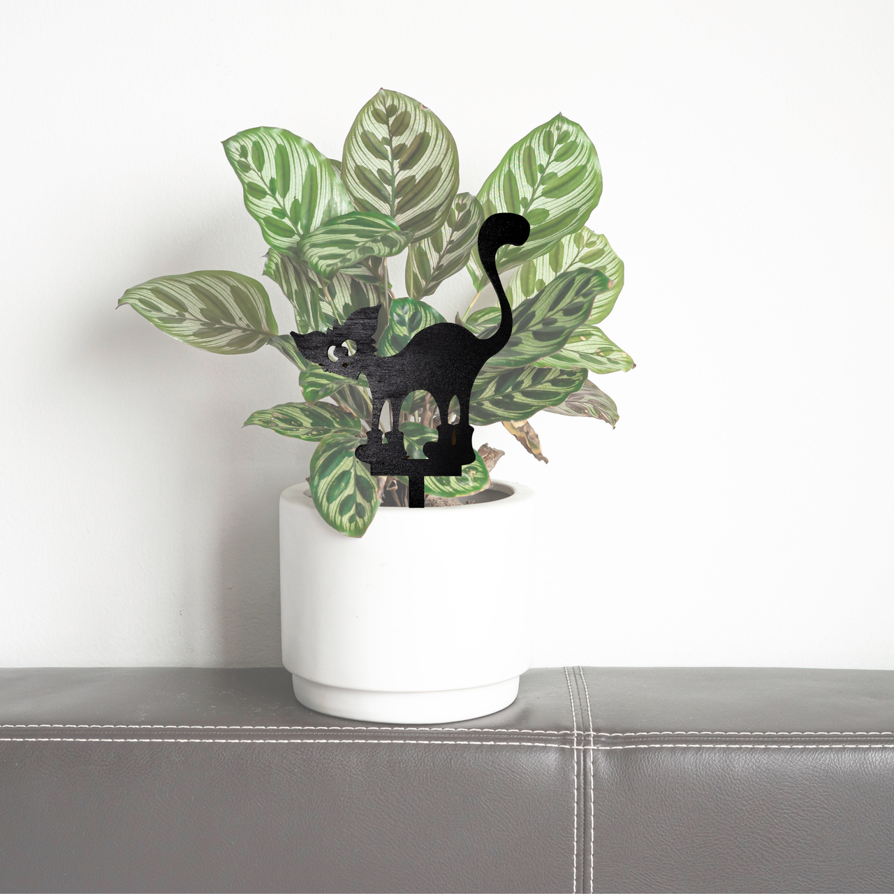 Meowly Cyrus - Unicorn Fart Productions