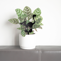 Meowly Cyrus - Unicorn Fart Productions