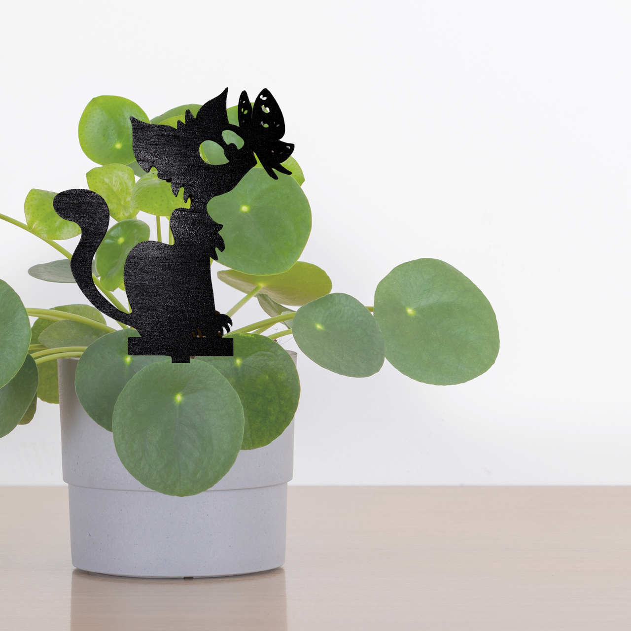 Tuna Turner - Unicorn Fart Productions