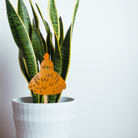 Bok Choy - Unicorn Fart Productions