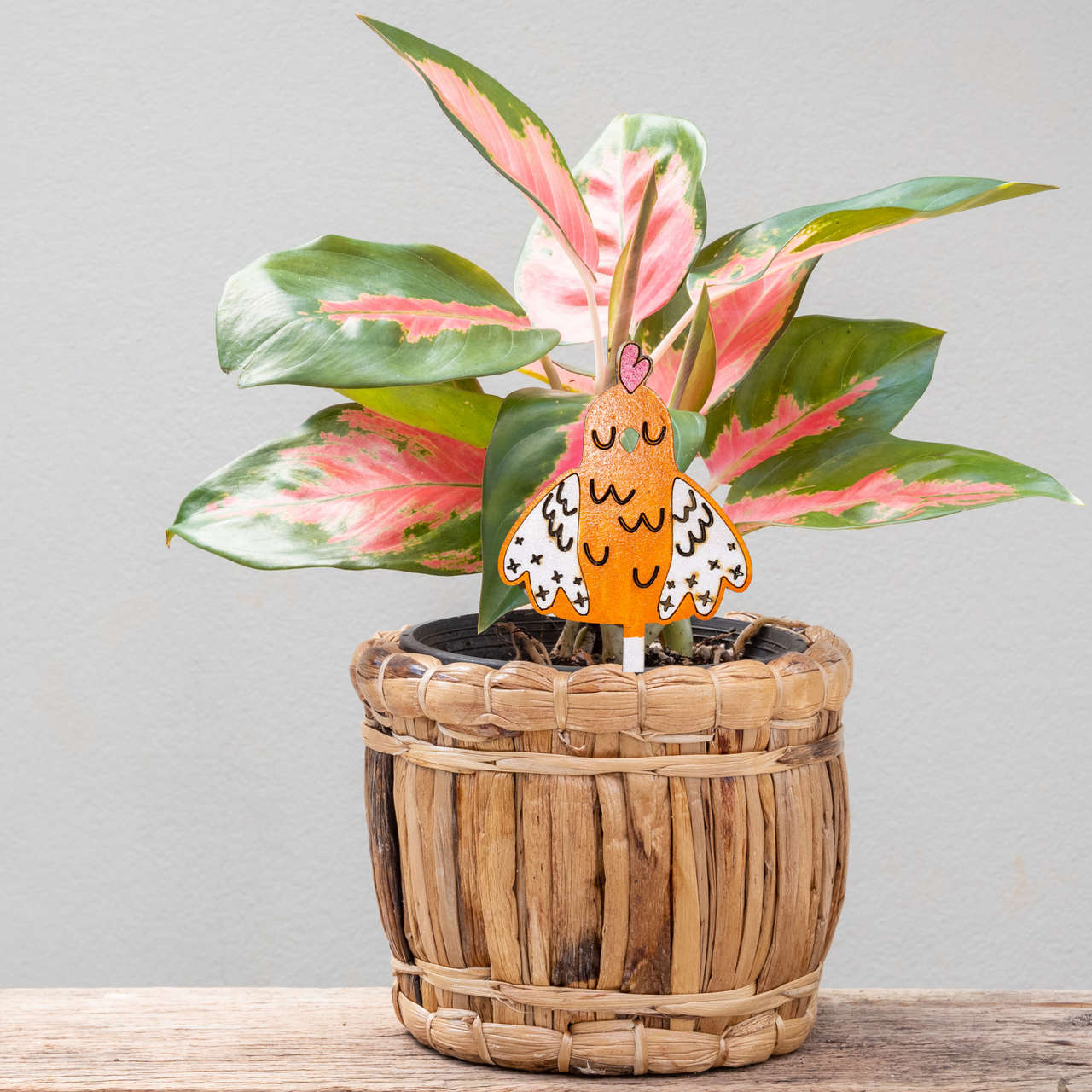 Thyme Nugget - Unicorn Fart Productions