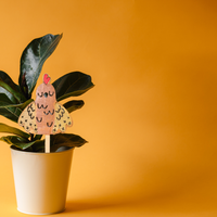 Eggplant - Unicorn Fart Productions