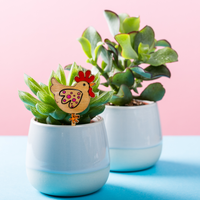 Hennydew - Unicorn Fart Productions