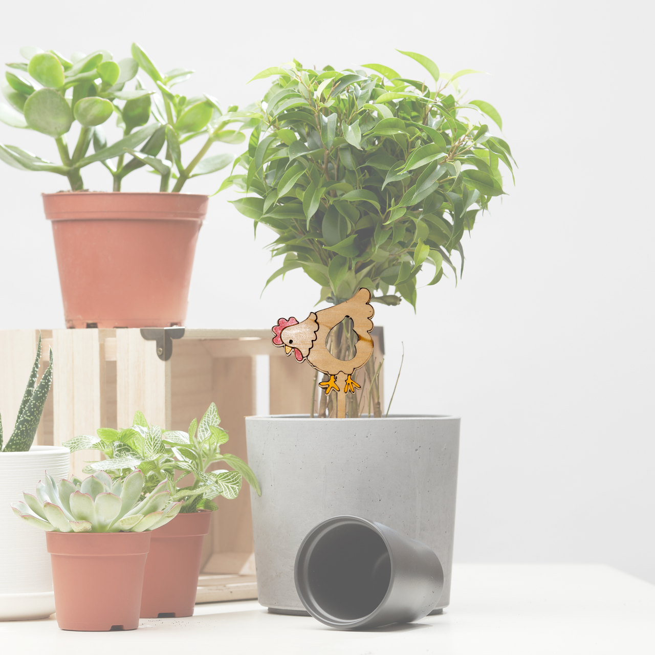 Petal Peck - Unicorn Fart Productions