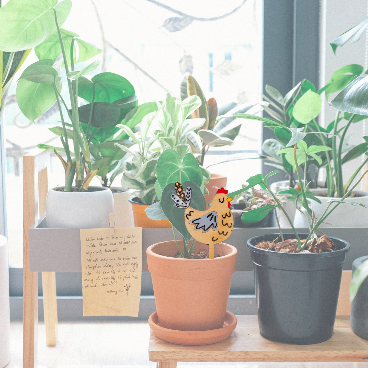 Dirt Diva - Unicorn Fart Productions