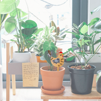 Dirt Diva - Unicorn Fart Productions