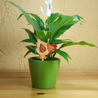 Lettuce Cluck - Unicorn Fart Productions