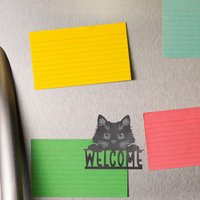 Cat Welcome - Unicorn Fart Productions