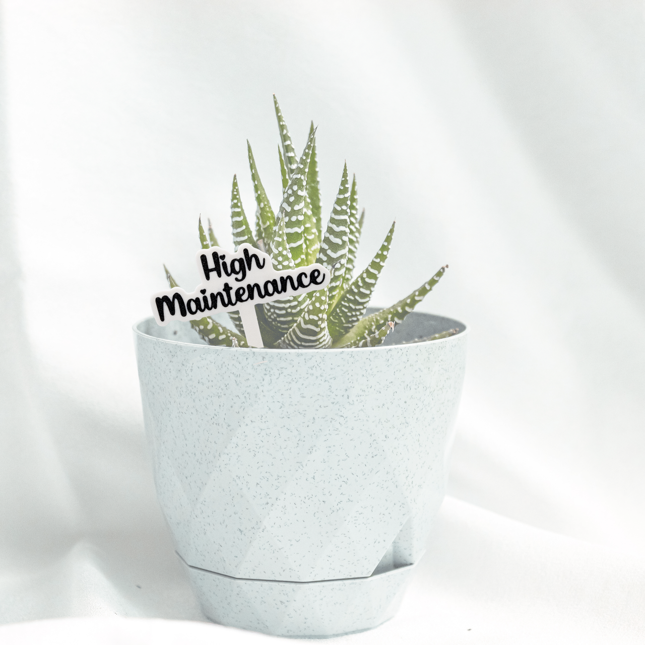 Sassy Plant Stakes - Unicorn Fart Productions