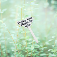 Sassy Plant Stakes - Unicorn Fart Productions