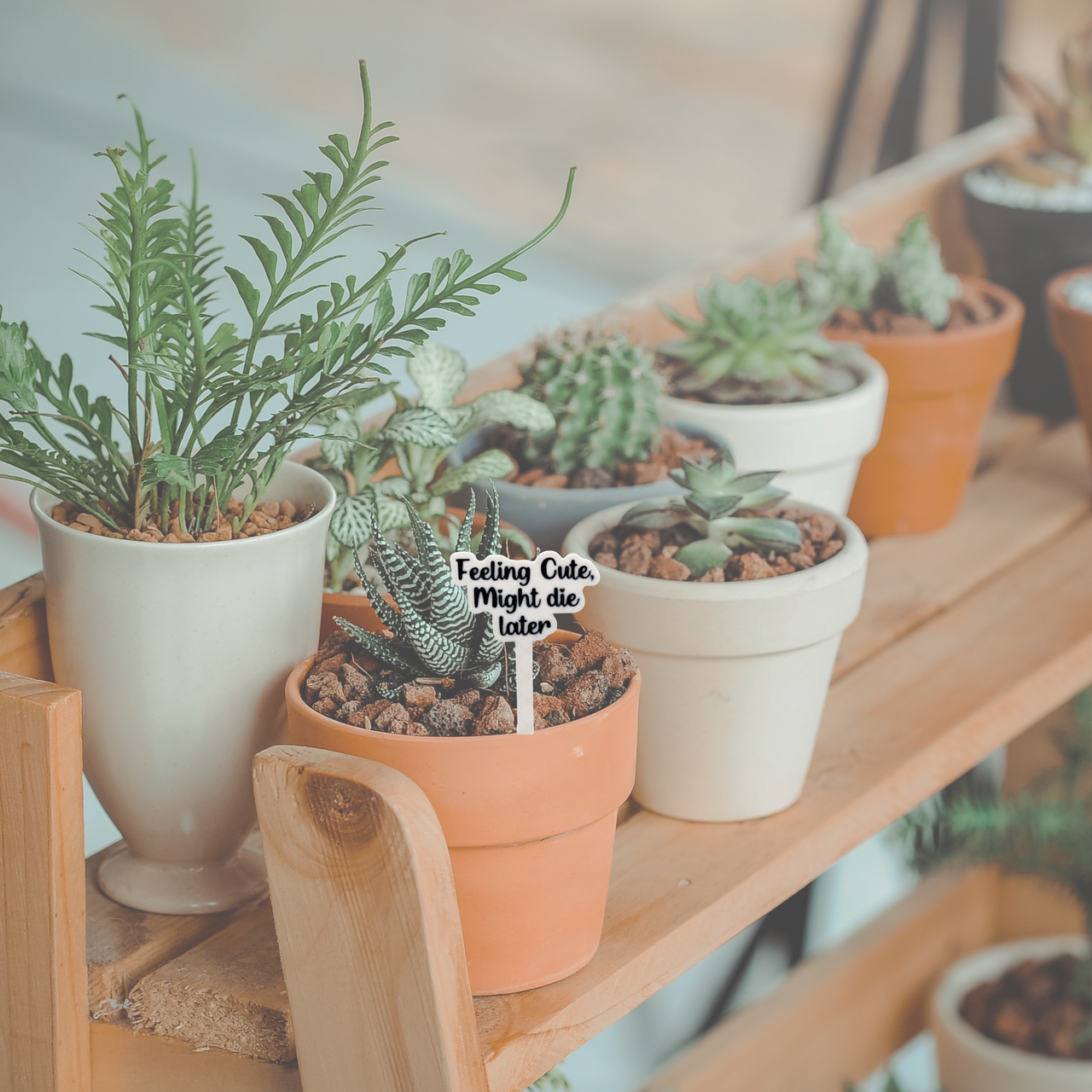 Sassy Plant Stakes - Unicorn Fart Productions