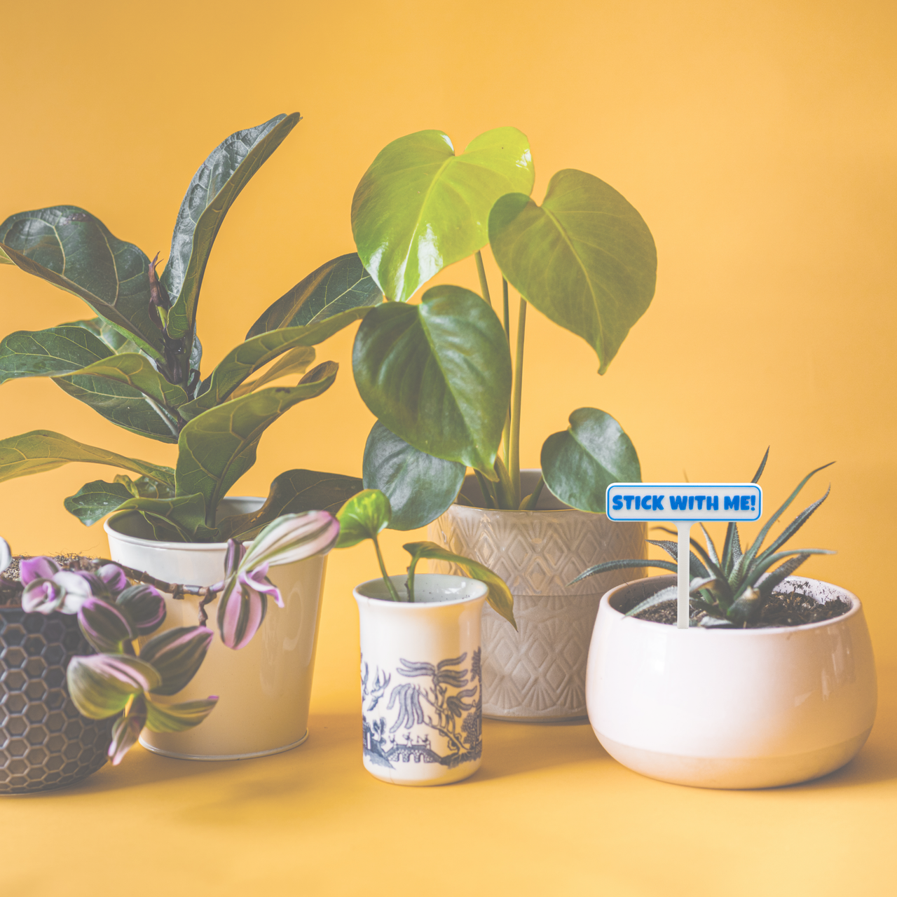 Punny Plant Stakes - Unicorn Fart Productions