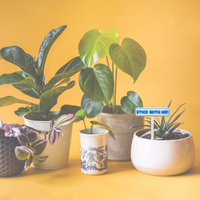 Punny Plant Stakes - Unicorn Fart Productions