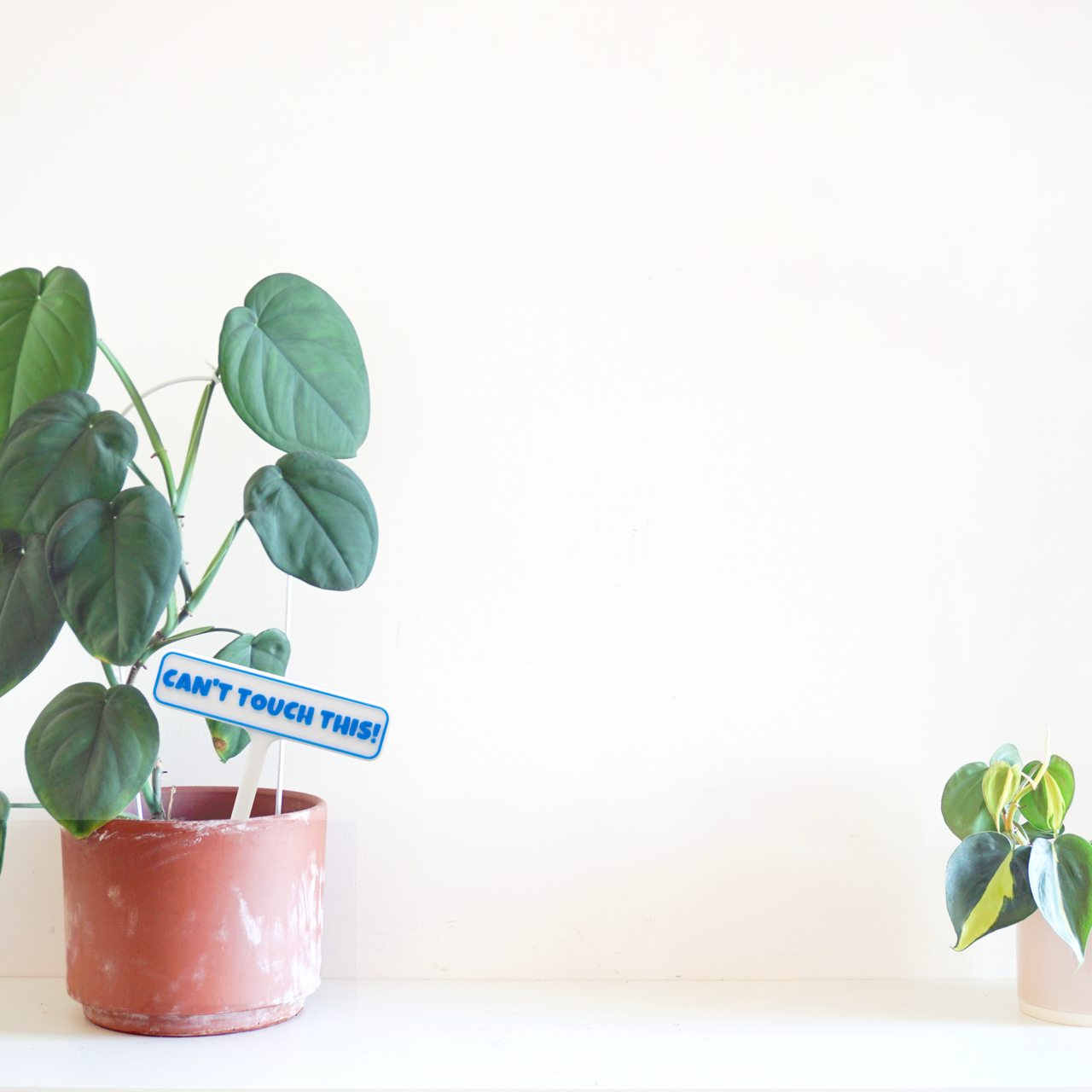 Punny Plant Stakes - Unicorn Fart Productions