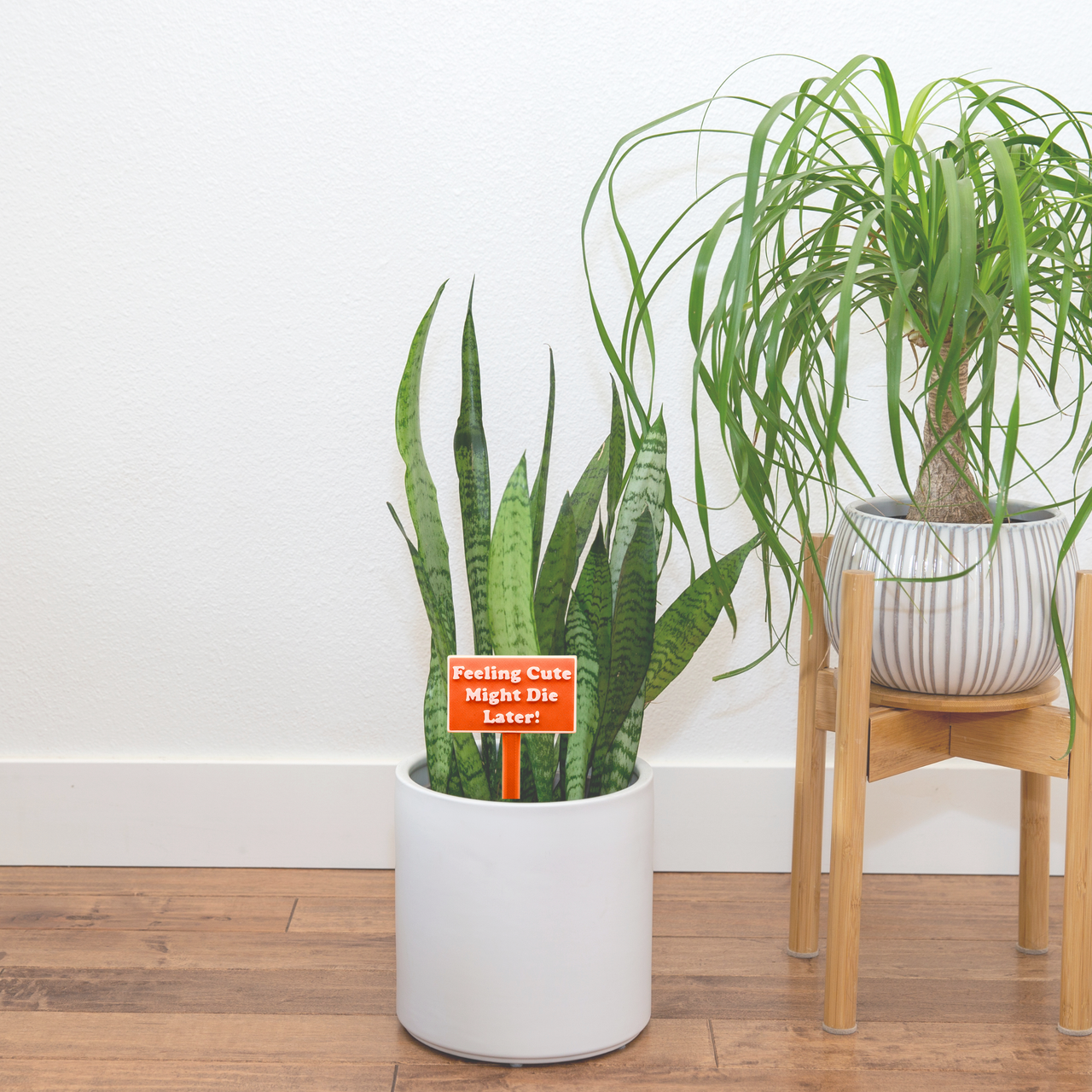 Fun Plant Stakes - Unicorn Fart Productions