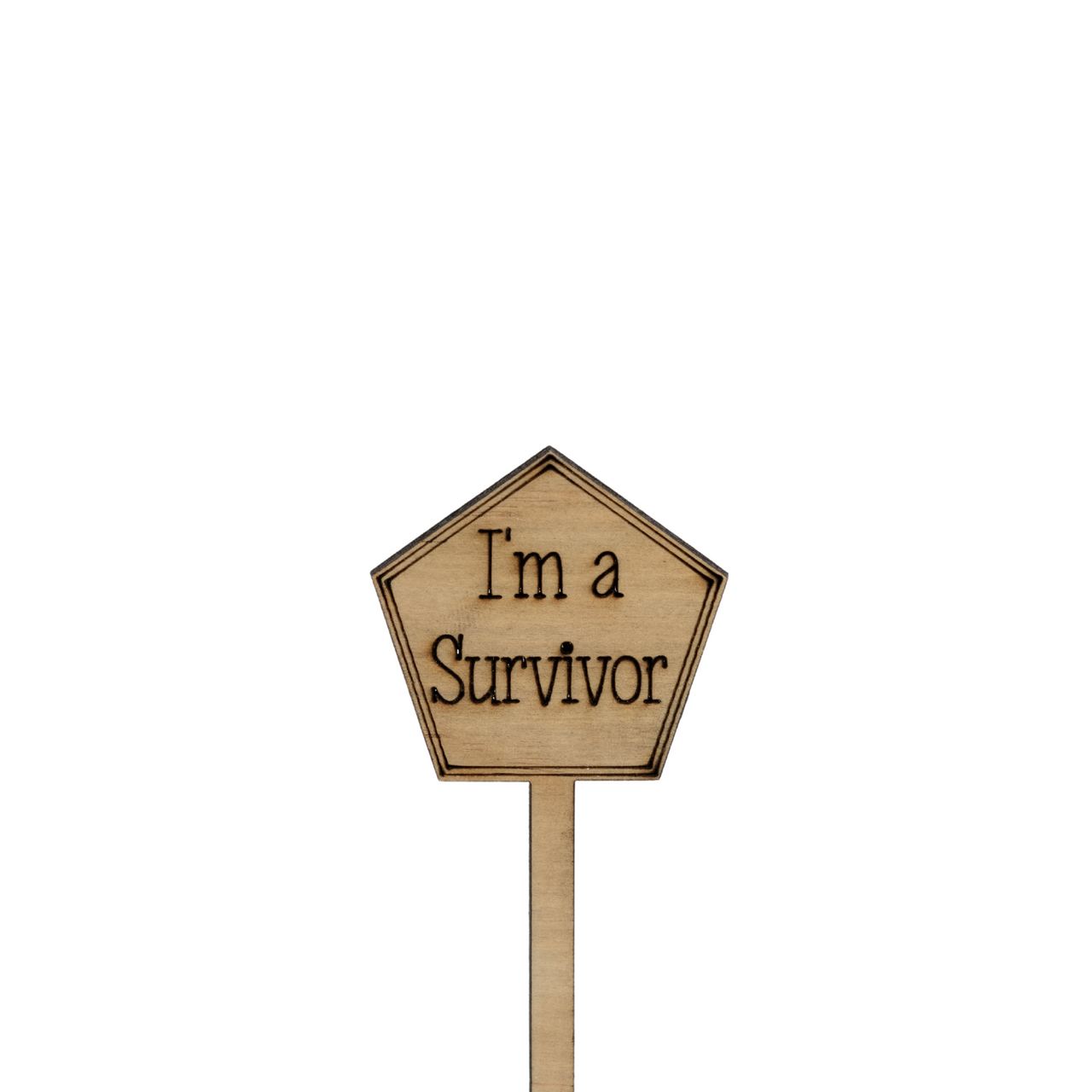 Im a Survivor - Unicorn Fart Productions