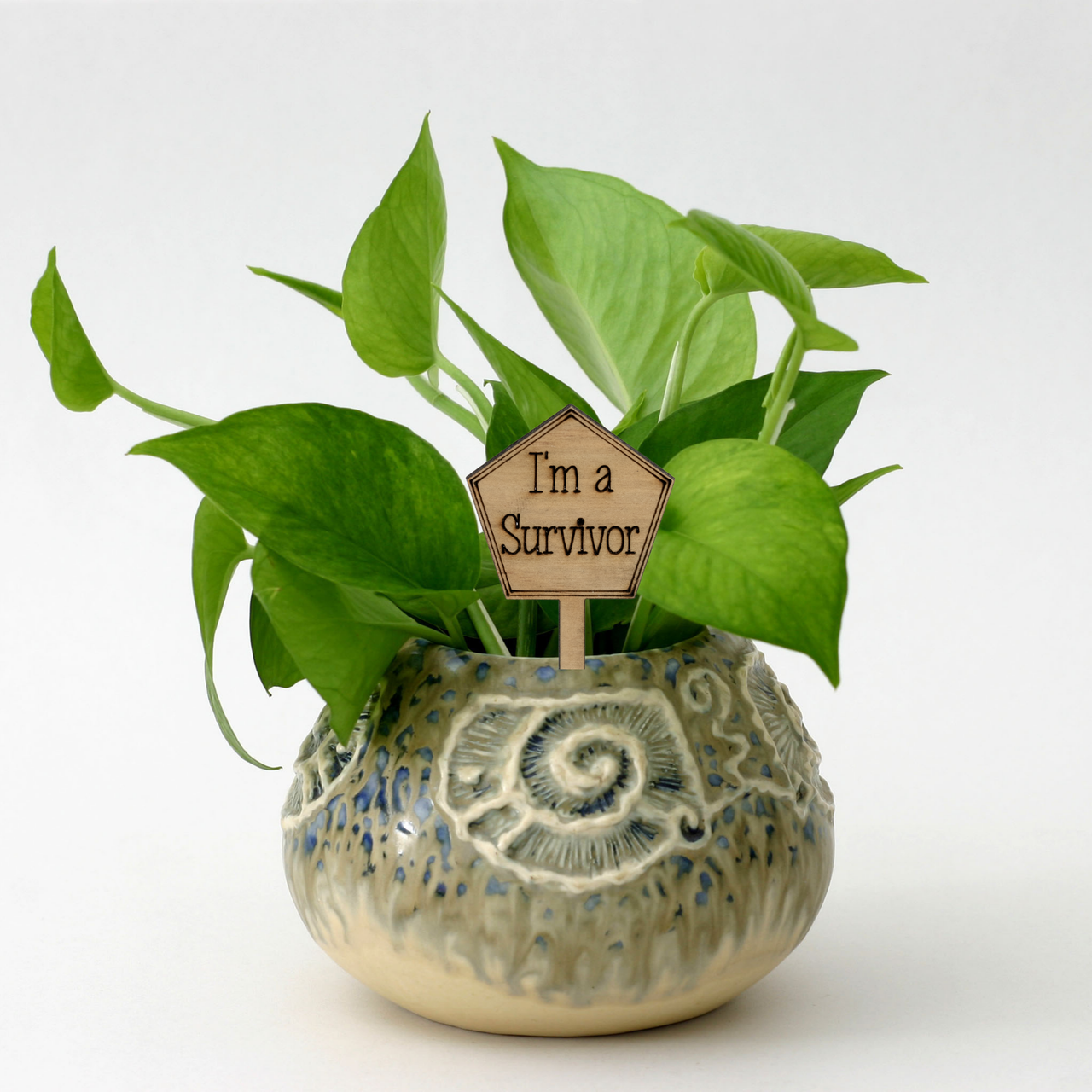 Im a Survivor - Unicorn Fart Productions