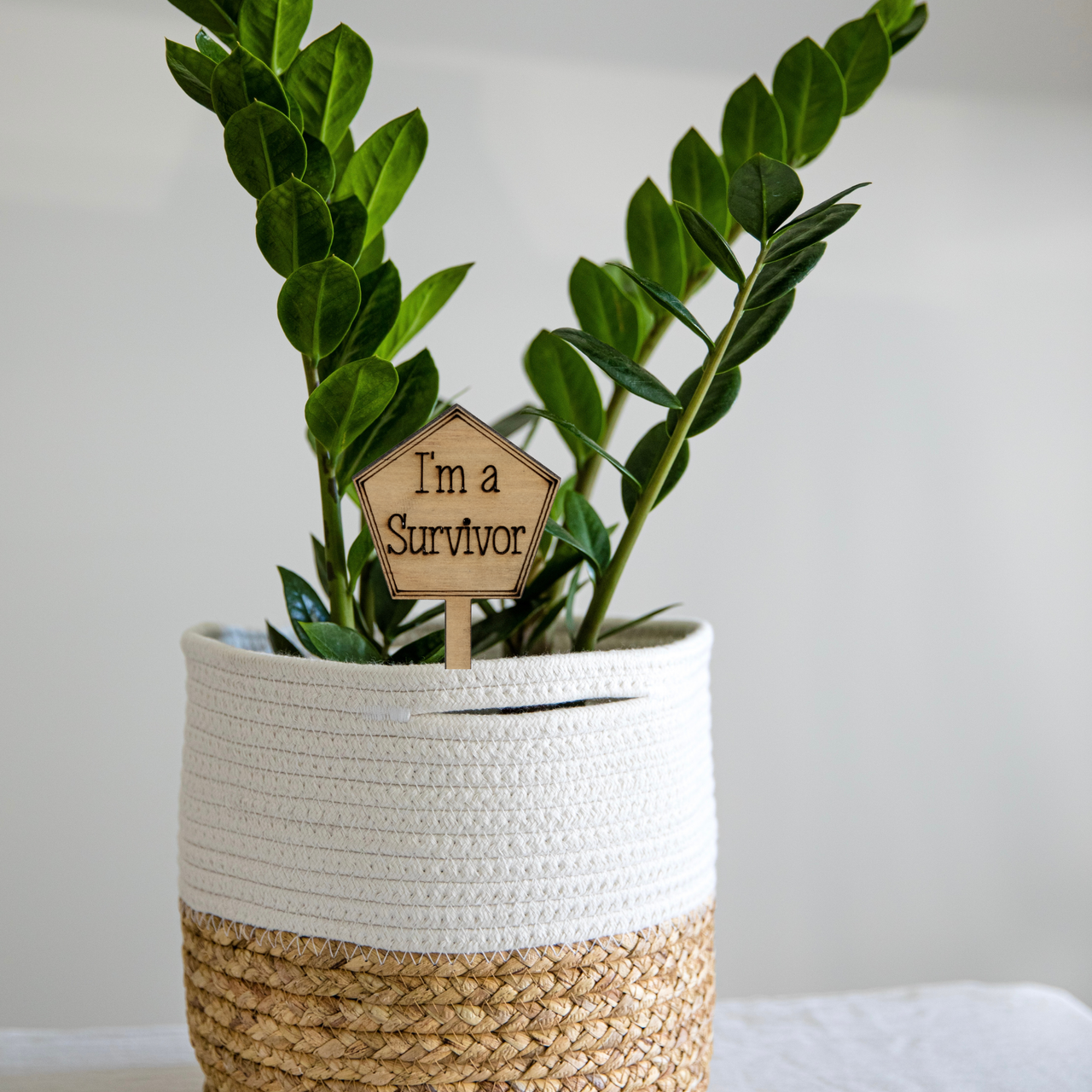 Im a Survivor - Unicorn Fart Productions