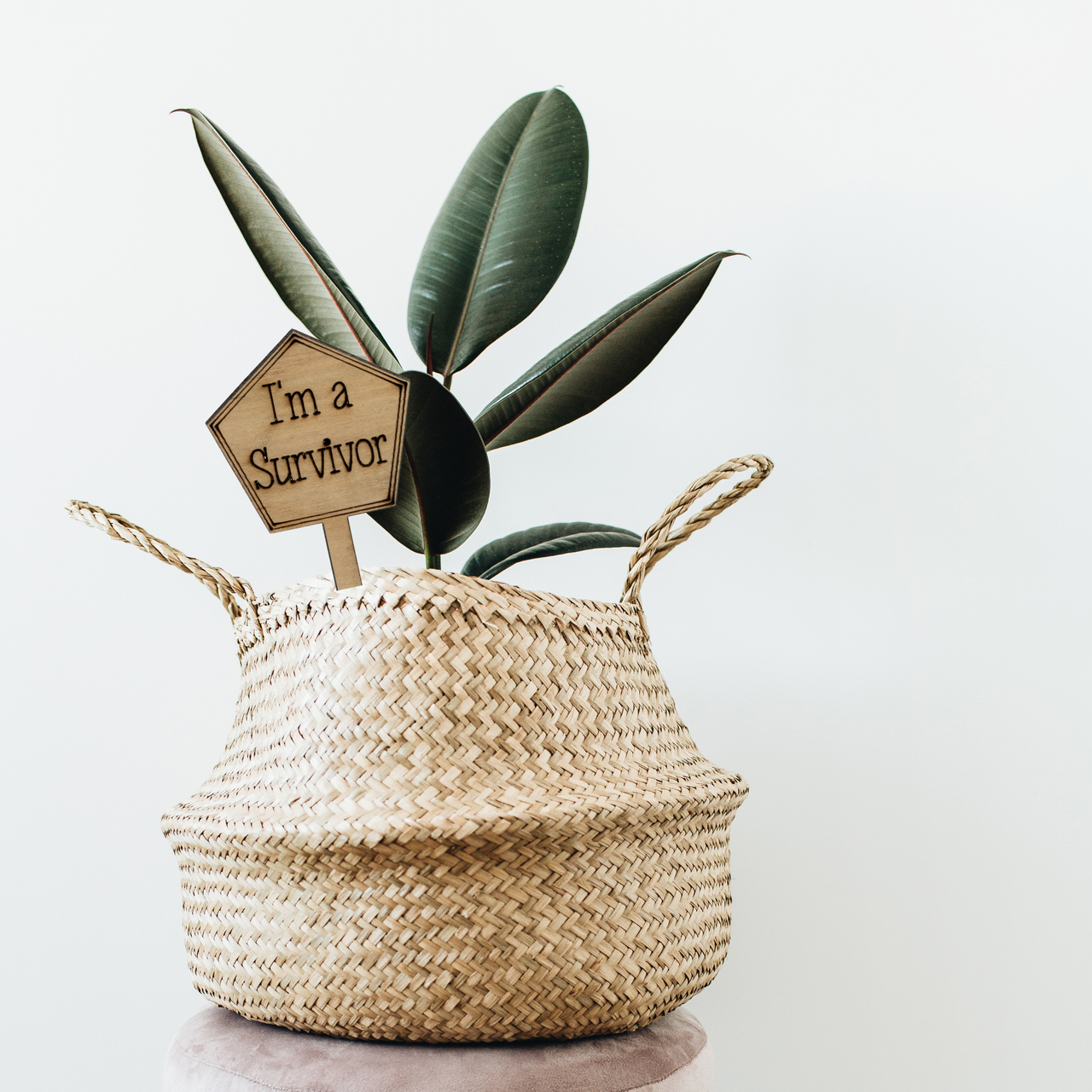 Im a Survivor - Unicorn Fart Productions