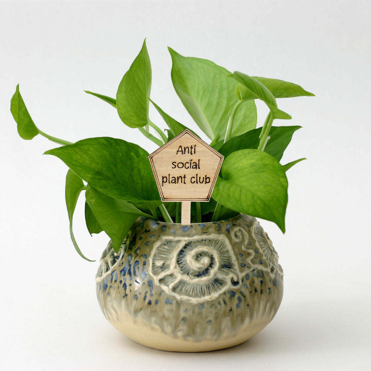 Anti social plant club - Unicorn Fart Productions