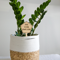 Anti social plant club - Unicorn Fart Productions