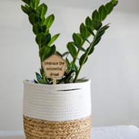 Embrace the existential dread - Unicorn Fart Productions