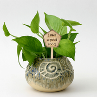 I need a good root - Unicorn Fart Productions