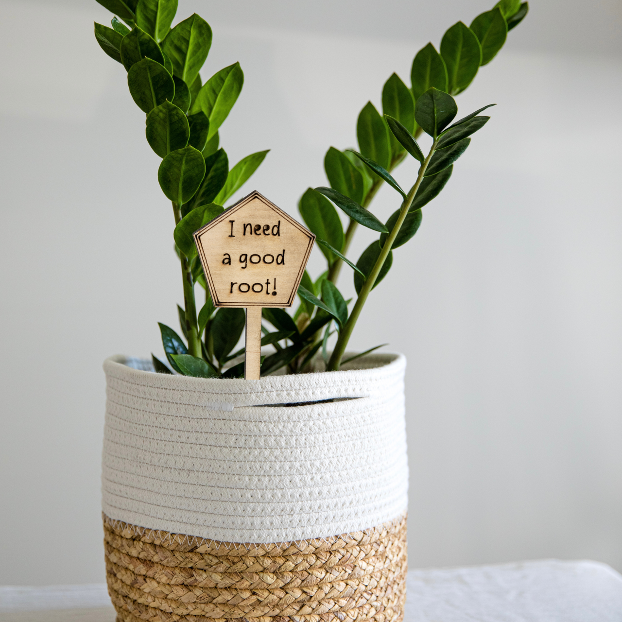 I need a good root - Unicorn Fart Productions