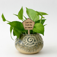 I got this from my pot dealer - Unicorn Fart Productions