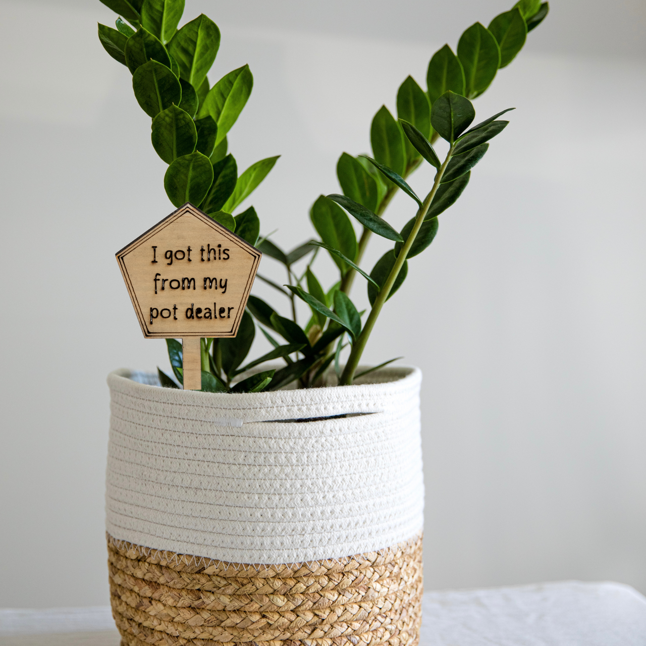 I got this from my pot dealer - Unicorn Fart Productions