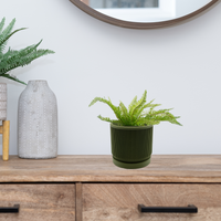 Modern design planter - Unicorn Fart Productions