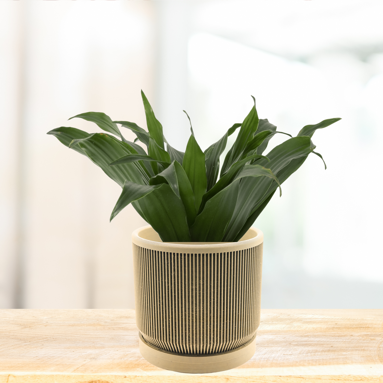 Modern design planter - Unicorn Fart Productions