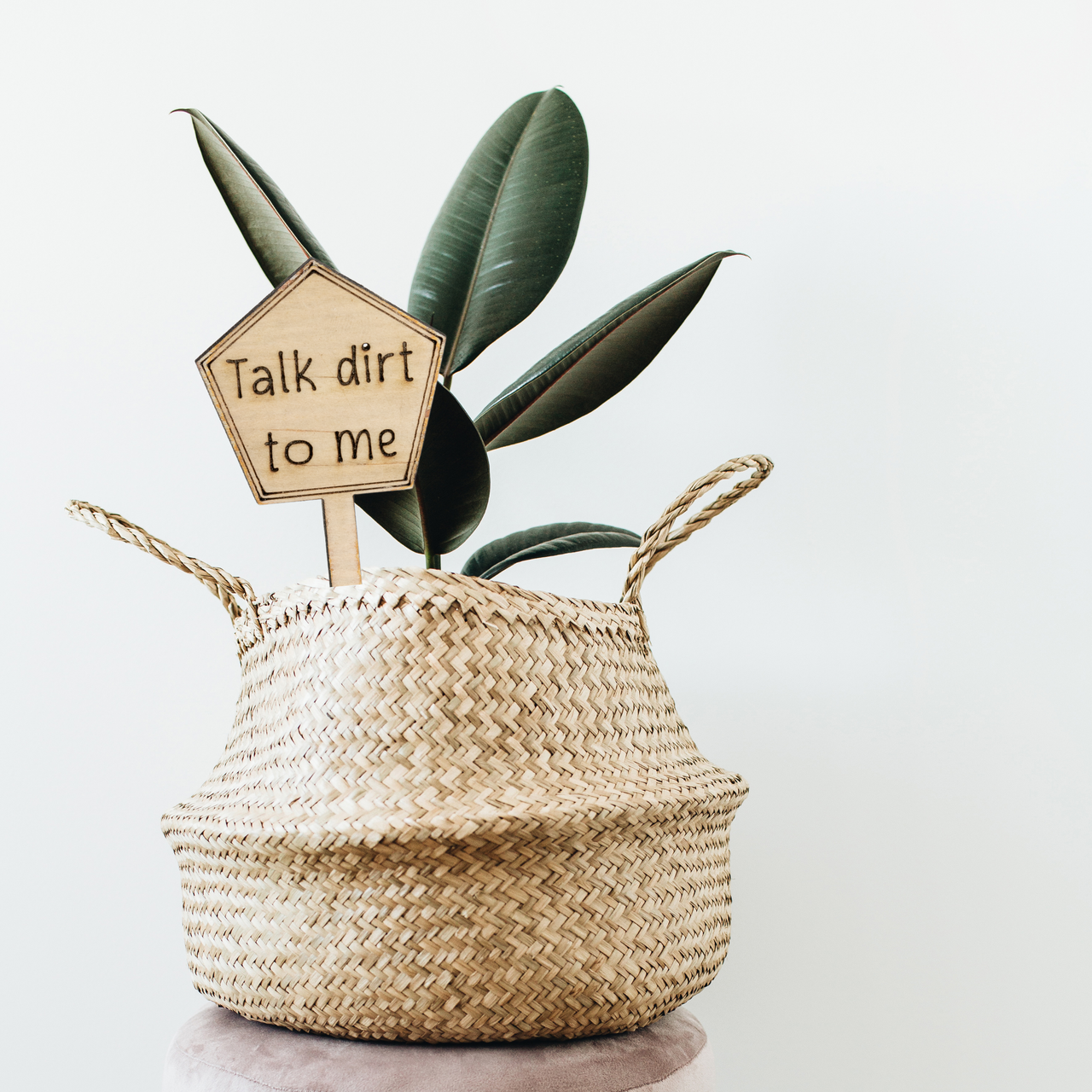 Talk dirt to me - Unicorn Fart Productions