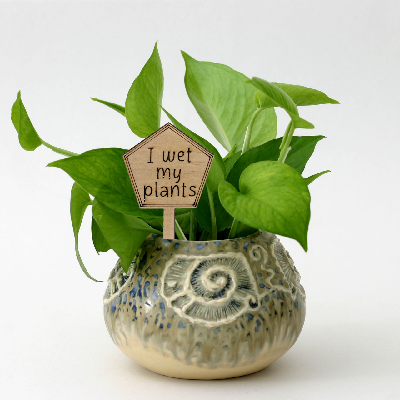 I wet my plants - Unicorn Fart Productions