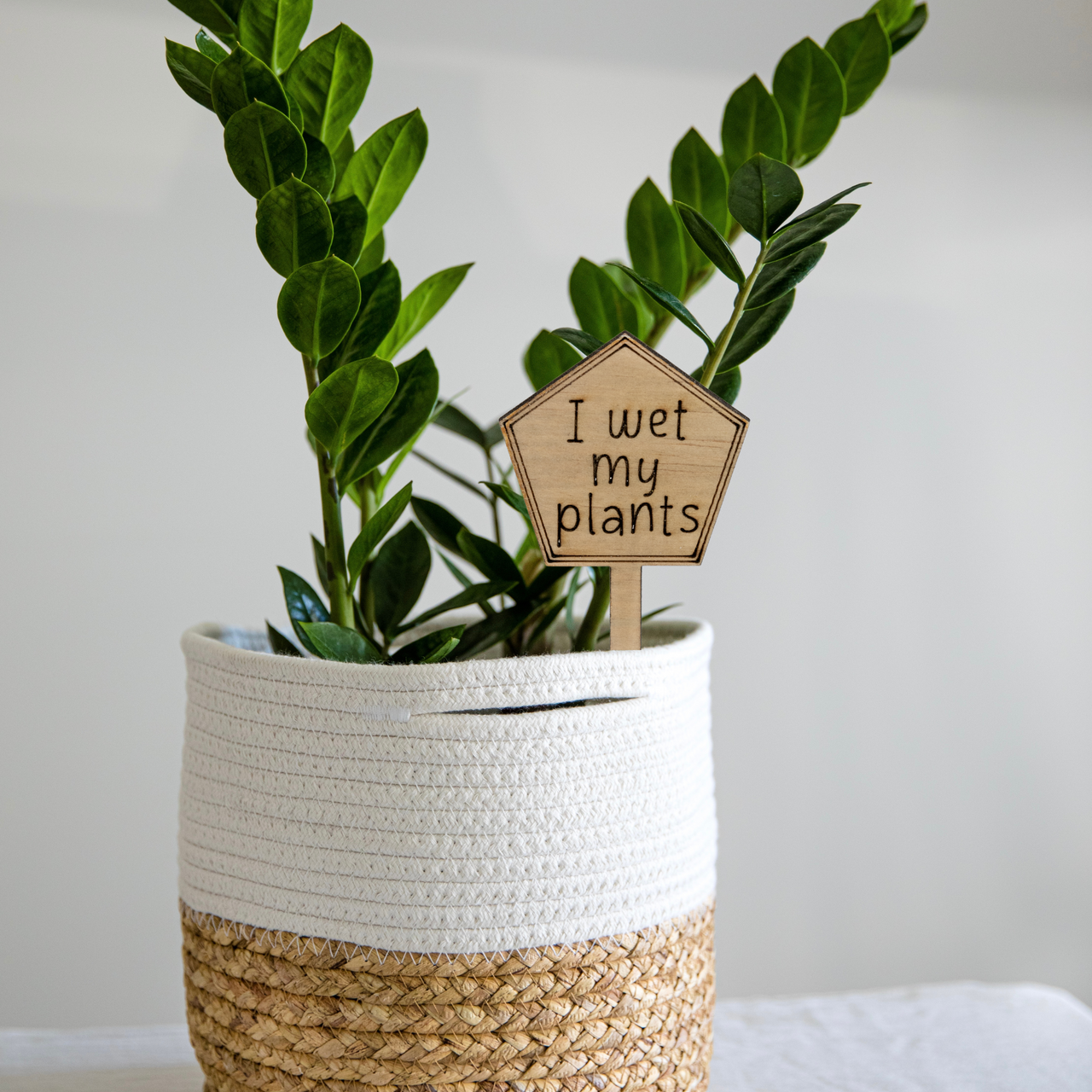 I wet my plants - Unicorn Fart Productions