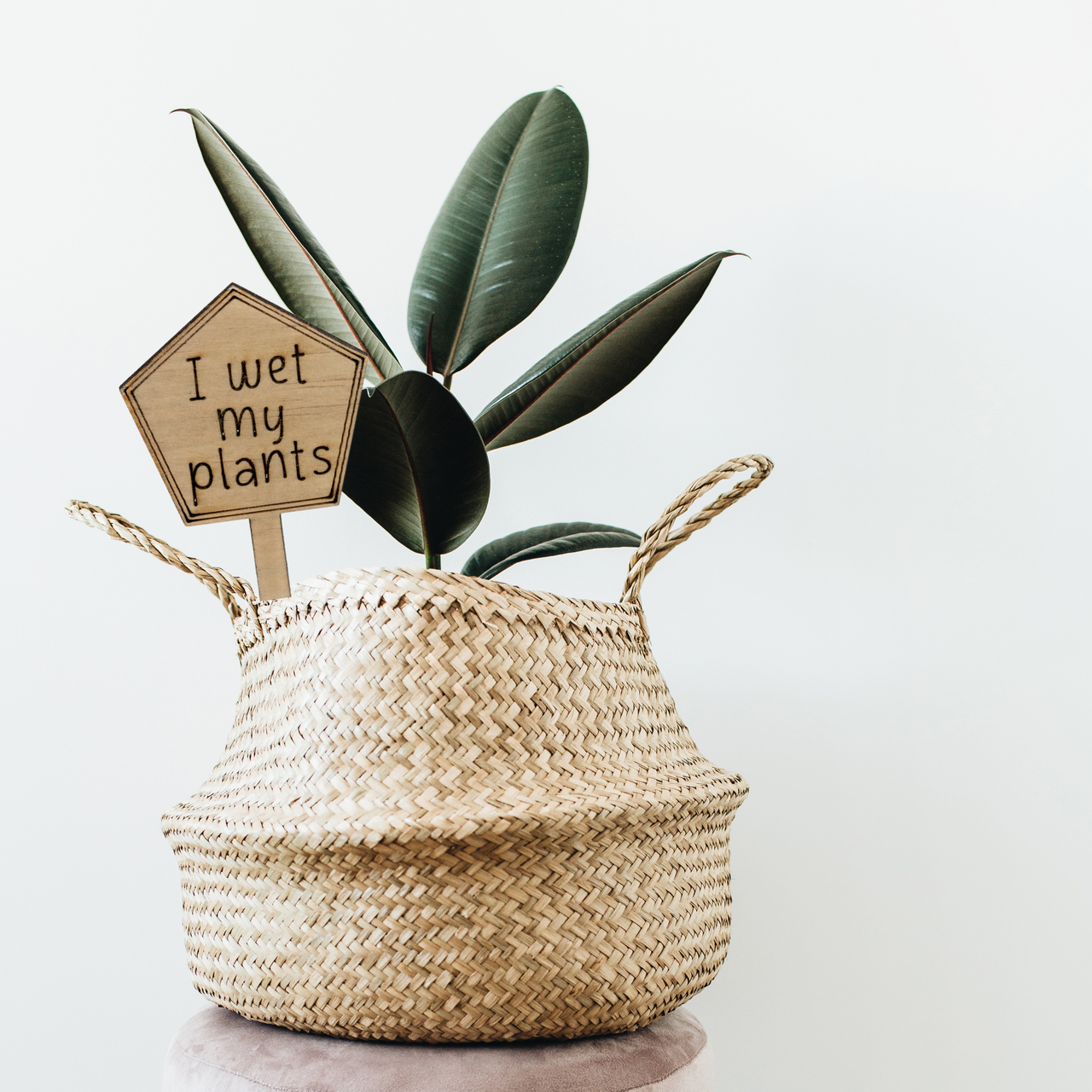 I wet my plants - Unicorn Fart Productions