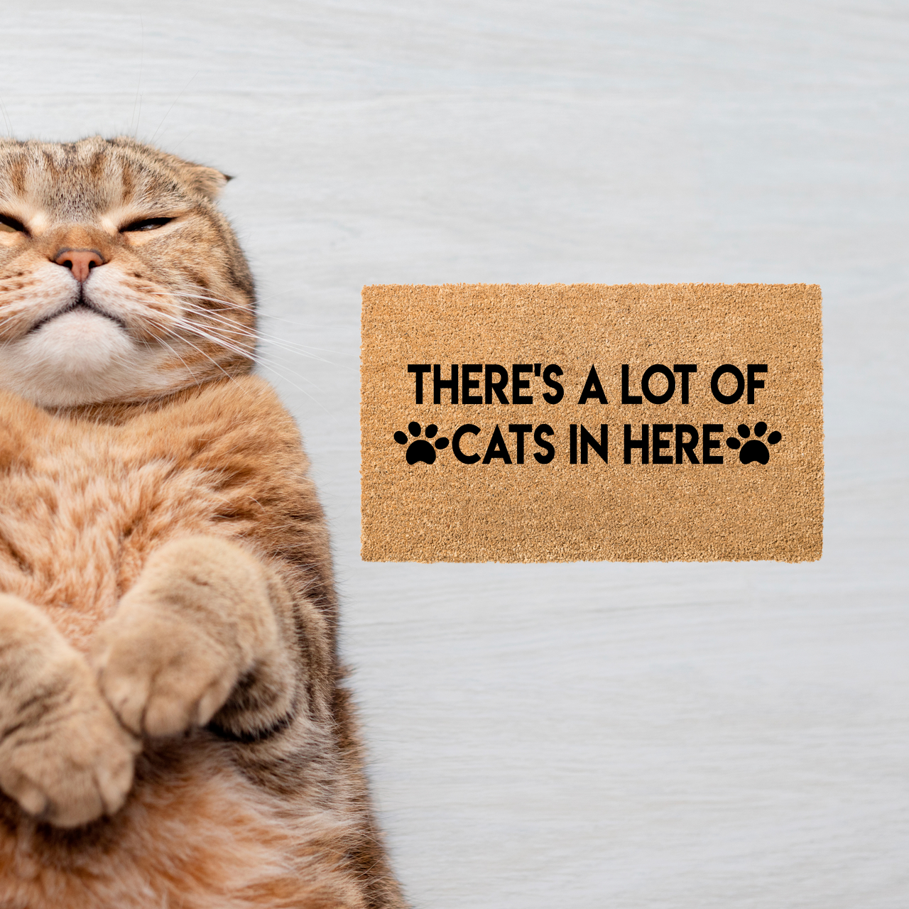 Theres a lot of Cats - Unicorn Fart Productions