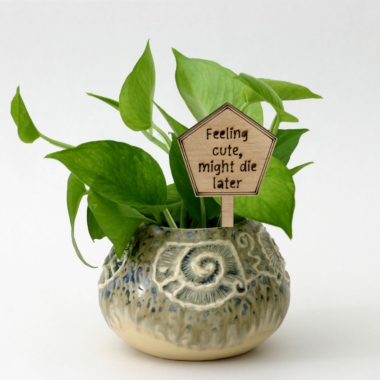 Feeling cute, might die later - Unicorn Fart Productions