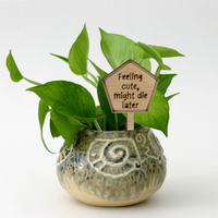 Feeling cute, might die later - Unicorn Fart Productions