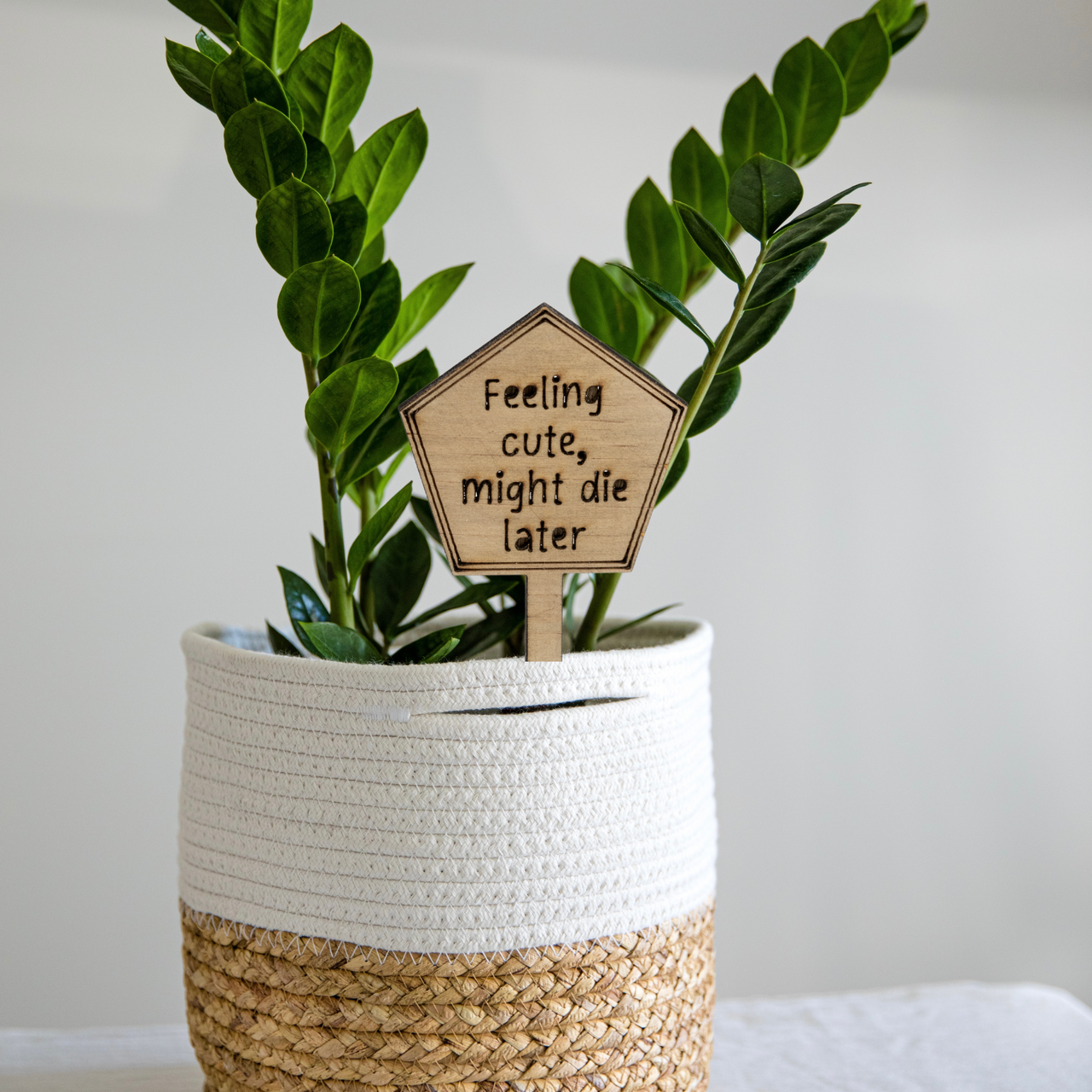 Feeling cute, might die later - Unicorn Fart Productions