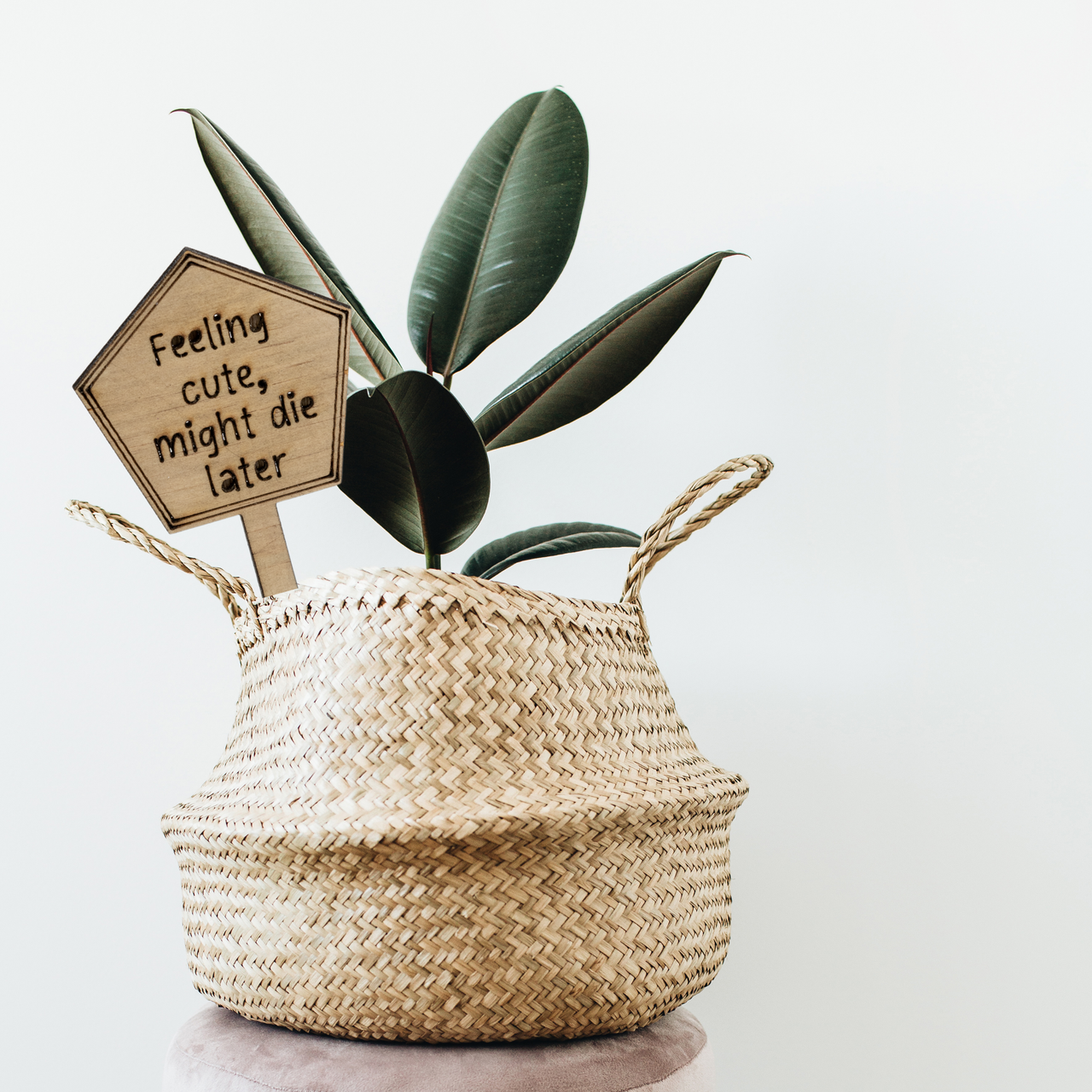 Feeling cute, might die later - Unicorn Fart Productions