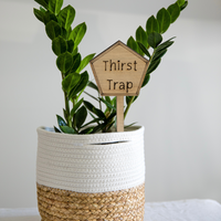 Thirst Trap - Unicorn Fart Productions