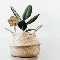 Thirst Trap - Unicorn Fart Productions