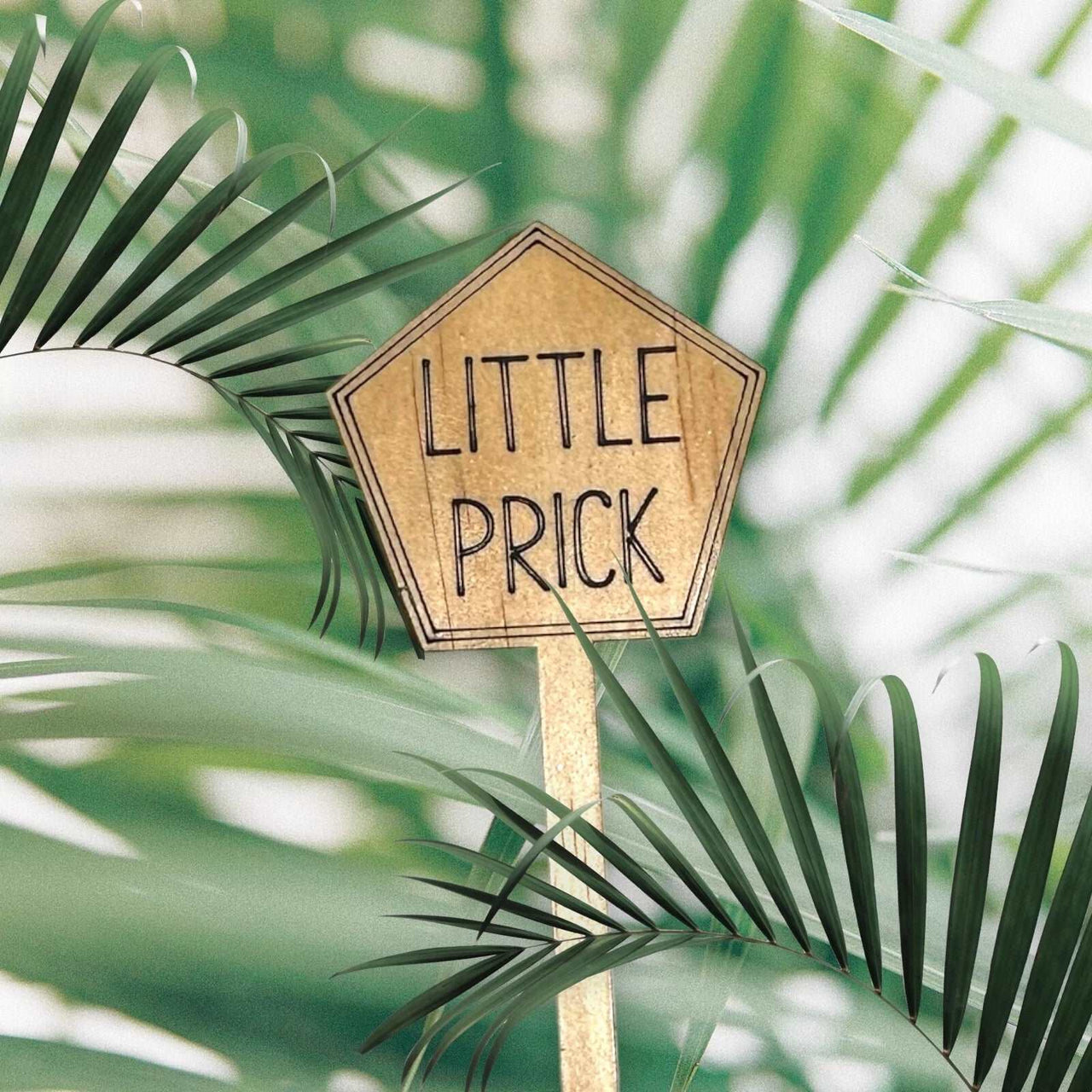 Funny Plant Stakes - Made from Sustainable Timber - LITTLE PRICK - Unicorn Fart Productions