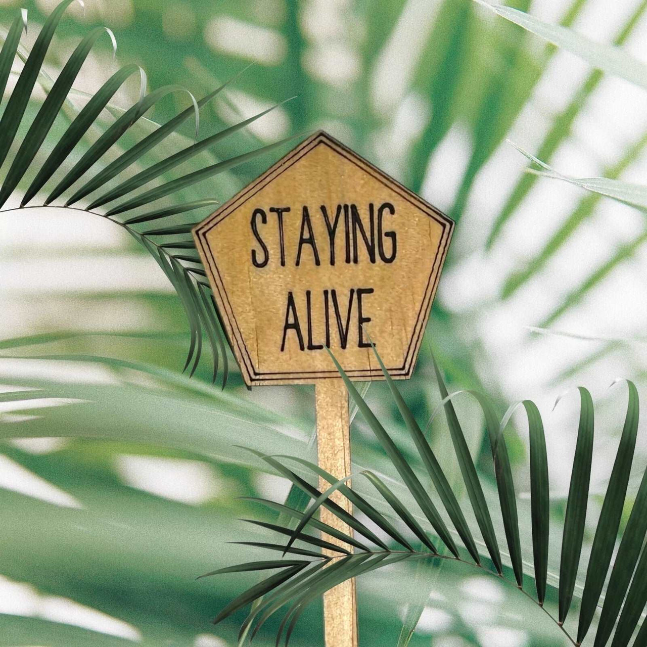 Funny Plant Stakes - Made from Sustainable Timber - STAYING ALIVE - Unicorn Fart Productions