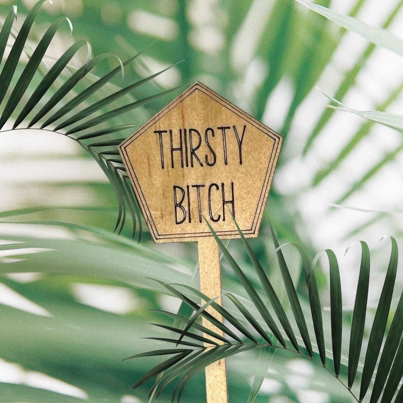 Funny Plant Stakes - Made from Sustainable Timber - Thirsty Bitch - Unicorn Fart Productions